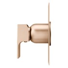 Acabamento Monocomando Chuveiro Retta Champanhe Fani