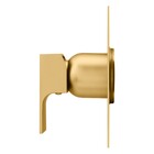 Acabamento Monocomando Chuveiro Retta Gold Fani