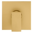 Acabamento Monocomando Chuveiro Retta Gold Fani