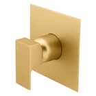 Acabamento Monocomando Chuveiro Retta Gold Fani