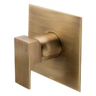 Acabamento Monocomando Chuveiro Retta Ouro Velho Fani