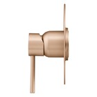 Acabamento Monocomando Chuveiro Slim Champanhe Fani