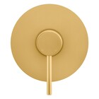 Acabamento Monocomando Chuveiro Slim Gold Fani