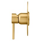 Acabamento Monocomando Chuveiro Slim Gold Fani