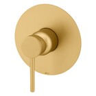 Acabamento Monocomando Chuveiro Slim Gold Fani