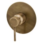 Acabamento Monocomando Chuveiro Slim Ouro Velho Fani