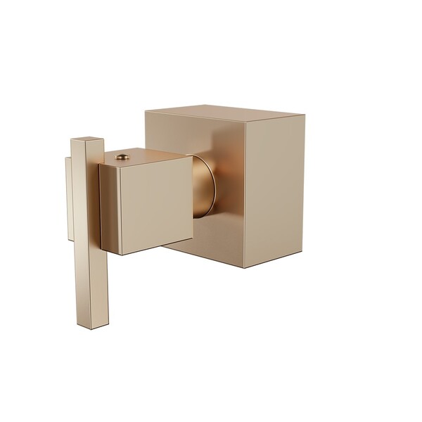 Acabamento Registro Grande 1 1/2 Eros Champanhe Fani