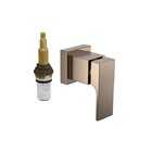 Acabamento Registro Pressão Chuveiro Unic Corten Matte Deca