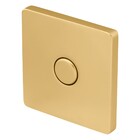 Acabamento Válvula Descarga Slim Plus Gold Fani