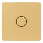 Acabamento Válvula Descarga Slim Plus Gold Fani