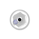 Acabamentos Hidráulicos - C50 Casagrande Mundial