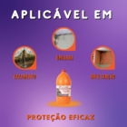 Acelerador De Secagem