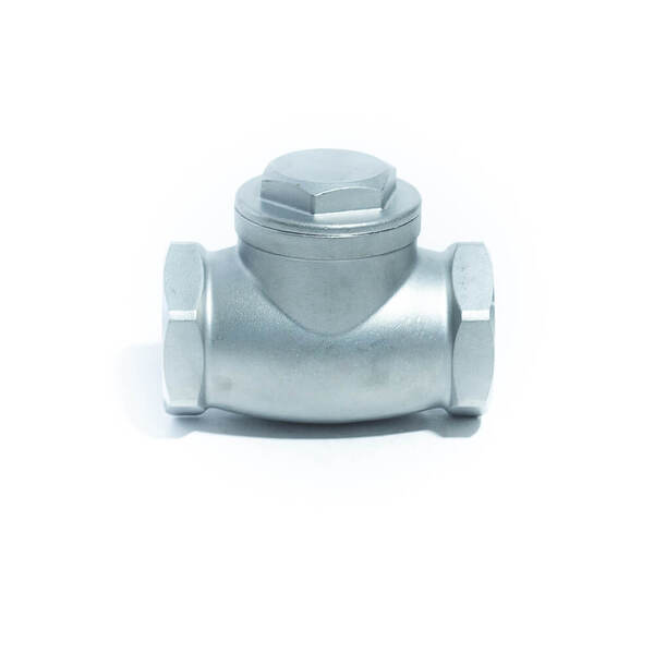 Aci-p Válvula De Retenção Portinhola Aço Inox 316 Rosca Bsp Ø