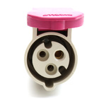 Acoplamento Industrial  2h 32a 3 (2p+t) 24v Strahl Ip44