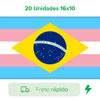 Adesivo Bandeira Brasil Transsexual 20 Unidades 16x10 Carro