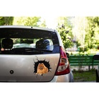 Adesivo De Carro 3d Cachorro Spitz