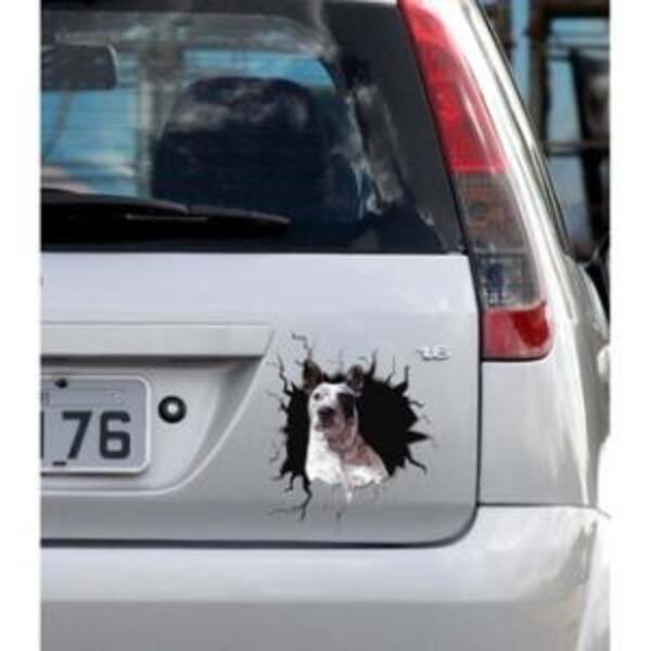 Adesivo De Carro Cachorro Personalizado Buraco 3d *atenção As