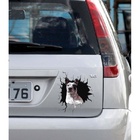 Adesivo De Carro Cachorro Personalizado Buraco 3d