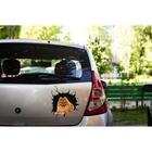 Adesivo De Carro Cachorro Spitz  No Buraco *atenção As Medida