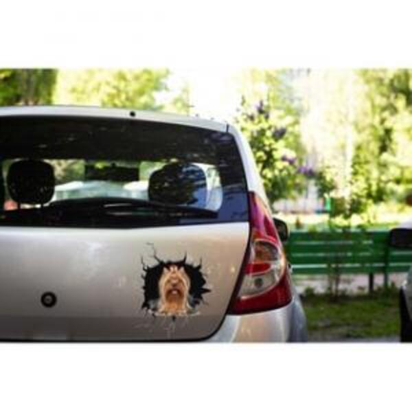 Adesivo De Carro Cachorro Yorkie No Buraco *atenção As Medida