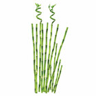 Adesivo De Parede Arranjo De Bambu