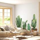 Adesivo De Parede Cactos-en 100x152cm
