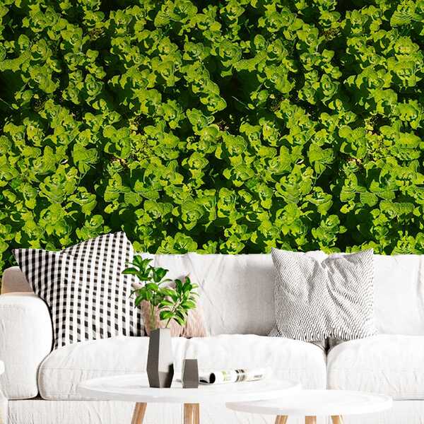 Adesivo De Parede Estilo Floral Verde Realista Natural 6m