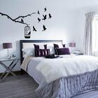 Adesivo De Parede Gaiola Pássaros Liberdade