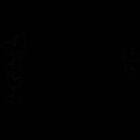 Adesivo De Parede Lousa Borboletas