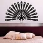 Adesivo De Parede Pavão Abrindo Penas-m 58x91cm