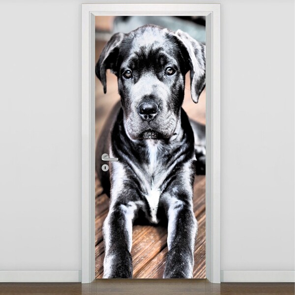 Adesivo De Porta Personalizado Tema Animais Ap-ani-002 | Leroy Merlin