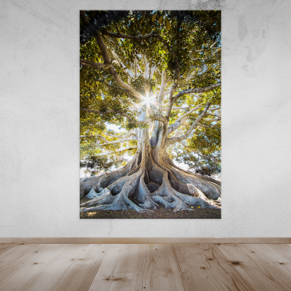 Adesivo Decorativo Árvore Presença