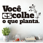 Adesivo Decorativo De Parede Frase Você Colhe O Que Planta
