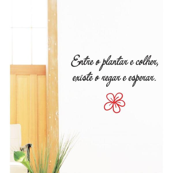 Adesivo Decorativo De Parede Sala Frase Entre O Plantar E