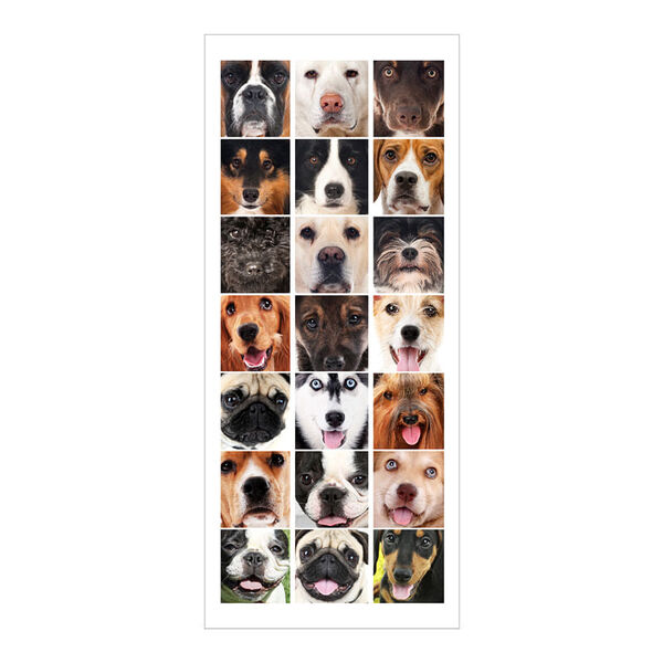 Adesivo Decorativo De Porta - Cachorros - Pet Shop - 2230cnpt
