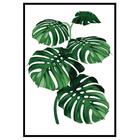 Adesivo Decorativo Folhagens