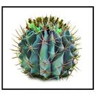 Adesivo Decorativo Folhagens