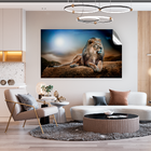 Adesivo Decorativo Leão