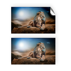 Adesivo Decorativo Leão