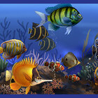 Adesivo Faixa De Parede Fundo Do Mar