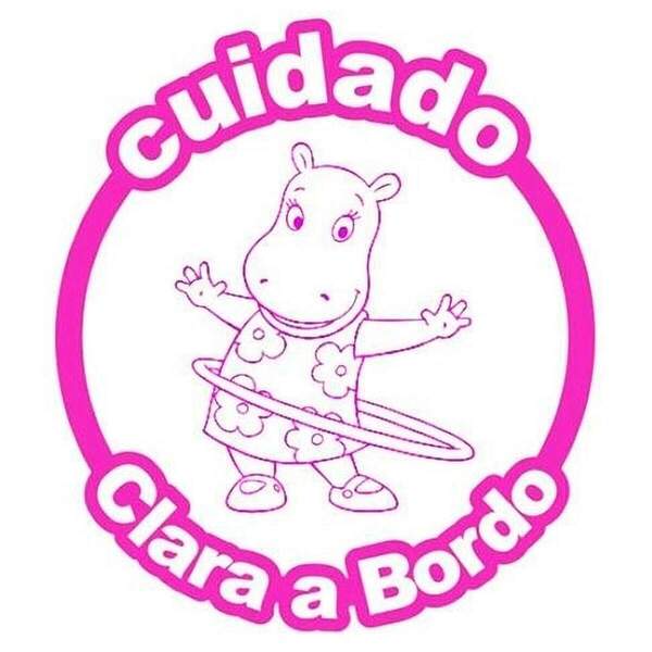 Adesivo Para Carro Bebê A Bordo Backyards Tasha-g 40x40cm