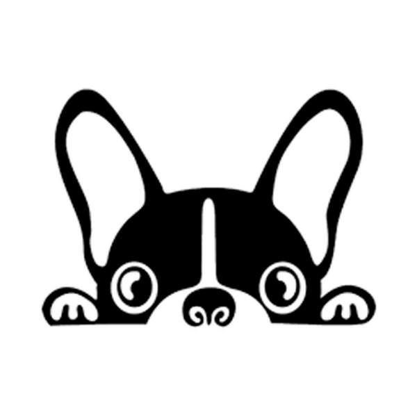 Adesivo Para Carro Cachorrinho Espiando-g 50x64cm