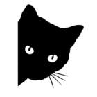 Adesivo Para Carro Gato Misterioso-p 16x20cm