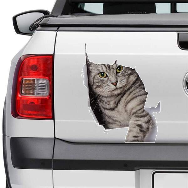 Adesivo Para Carro Gato Tentado Sair-m 13x15cm