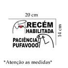 Adesivo Para Carro Recém Habilitada