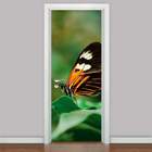 Adesivo Para Porta Animais Borboleta 02-73x210cm