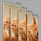 Adesivo Para Porta Animais Cavalo 3 Mod. 12-93x210cm