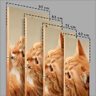 Adesivo Para Porta Animais Gatinho Com Olho Azul-93x210cm