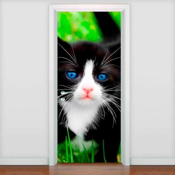 Adesivo Para Porta Animais Gatinho Com Olho Azul-93x210cm