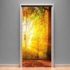 Adesivo Para Porta Paisagem 38 Floresta Iluminada-73x210cm